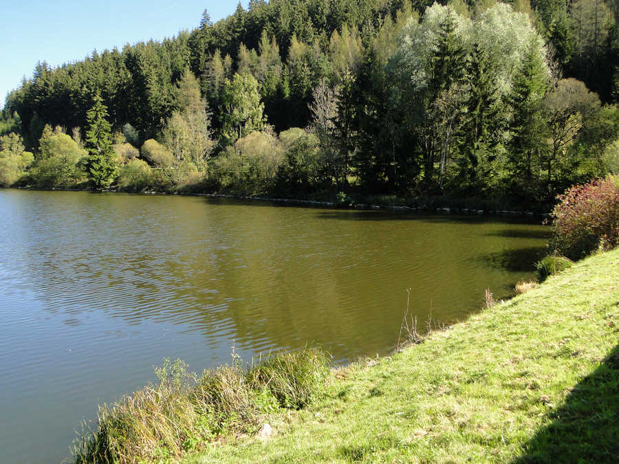 Trabochersee - südlicher Teil