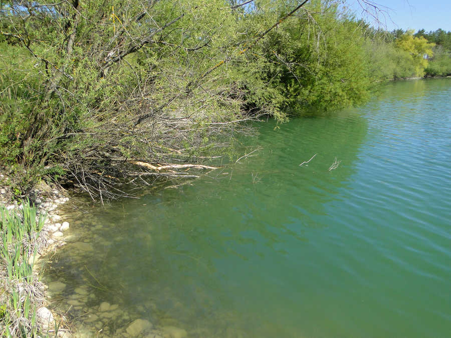 Traisentaler Angelsee zwischen Wilhelmsburg und Göblasbruck