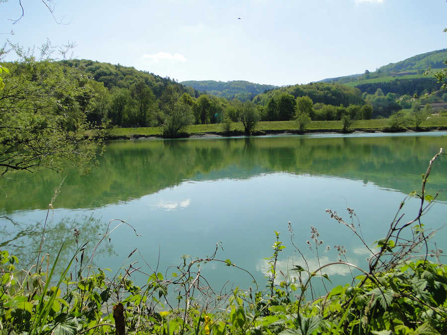 Traisentaler Angelsee - Blick auf das Ostufer