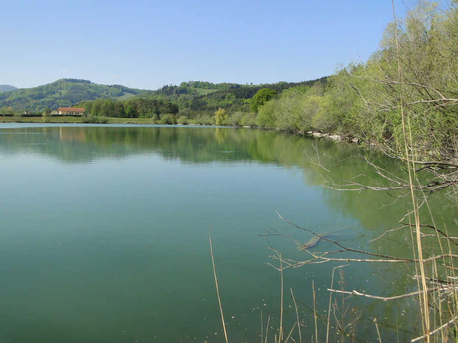 Der Traisentaler Angelsee