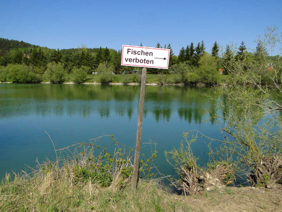 Am Traisentaler Angelsee gibt es ein Schongebiet am Nordufer