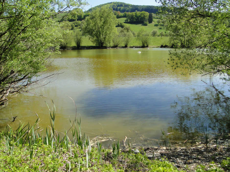 Der kleine See wird vor allem mit Forellen besetzt