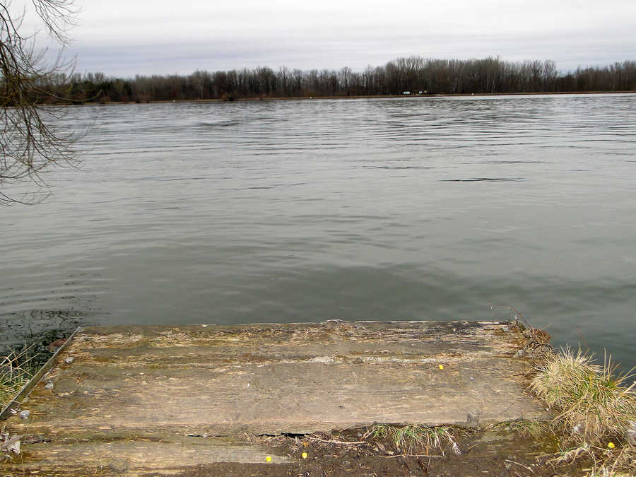 Donau Revier Traismauer