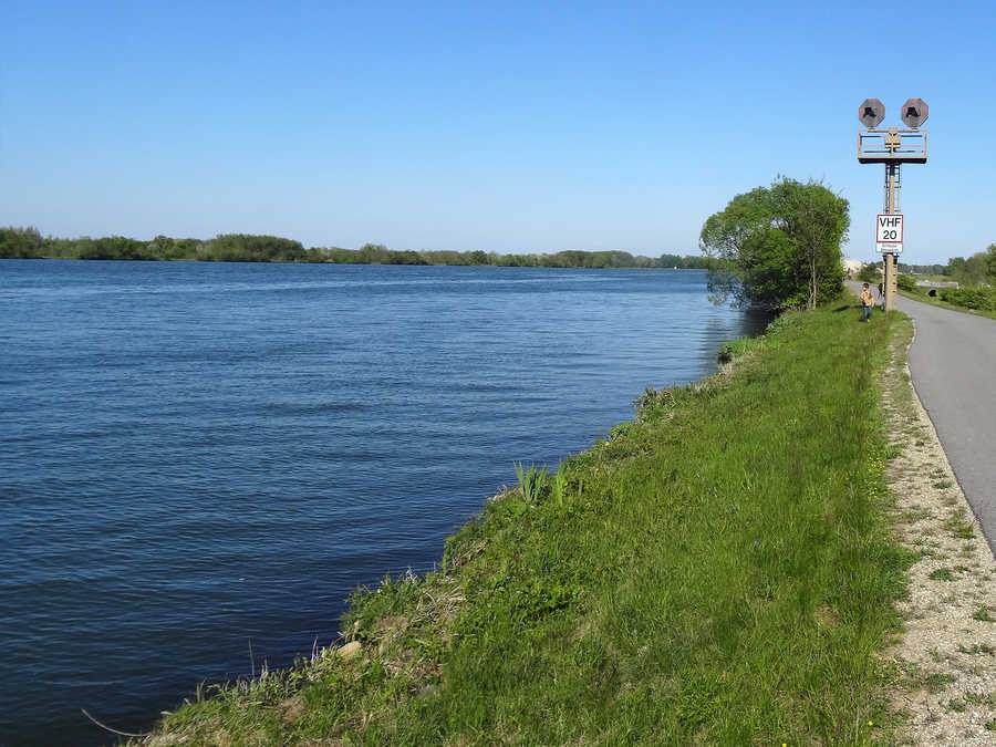 Die Donau bei Traismauer