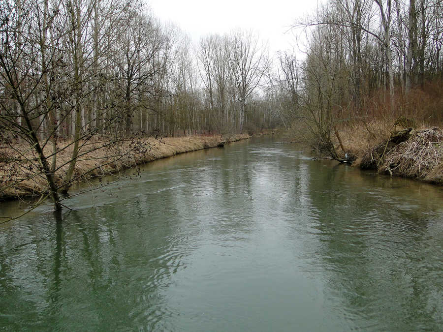 Nebengerinne der Donau in Traismauer