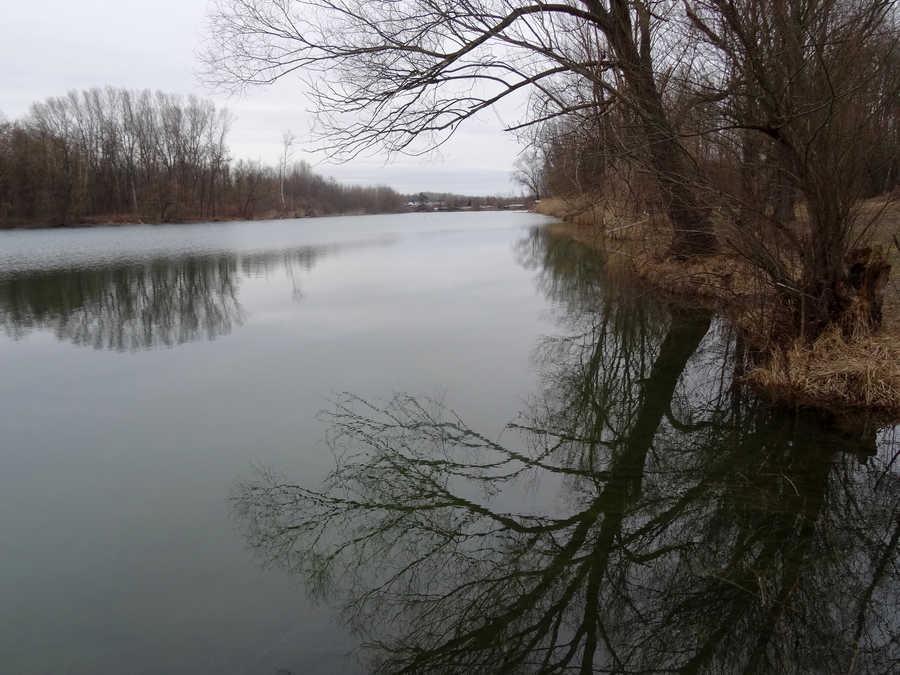 Mittlerer Teich im Revier Traismauer