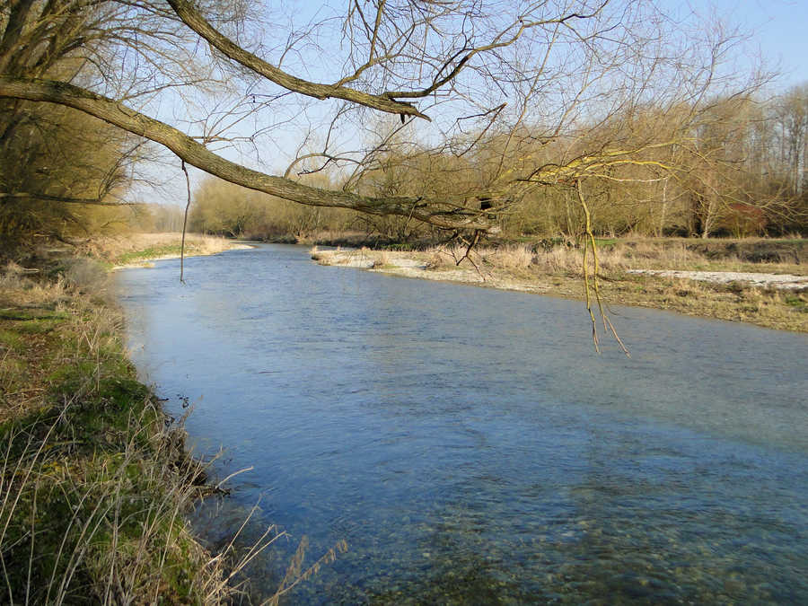 Angeln in der Traisen