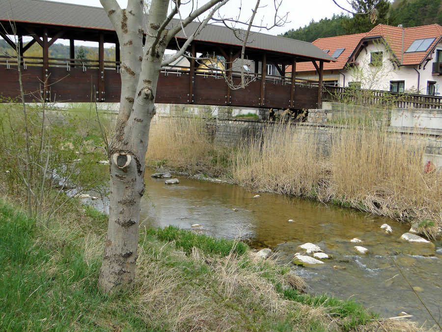 Die Triesting in Weissenbach an der Triesting