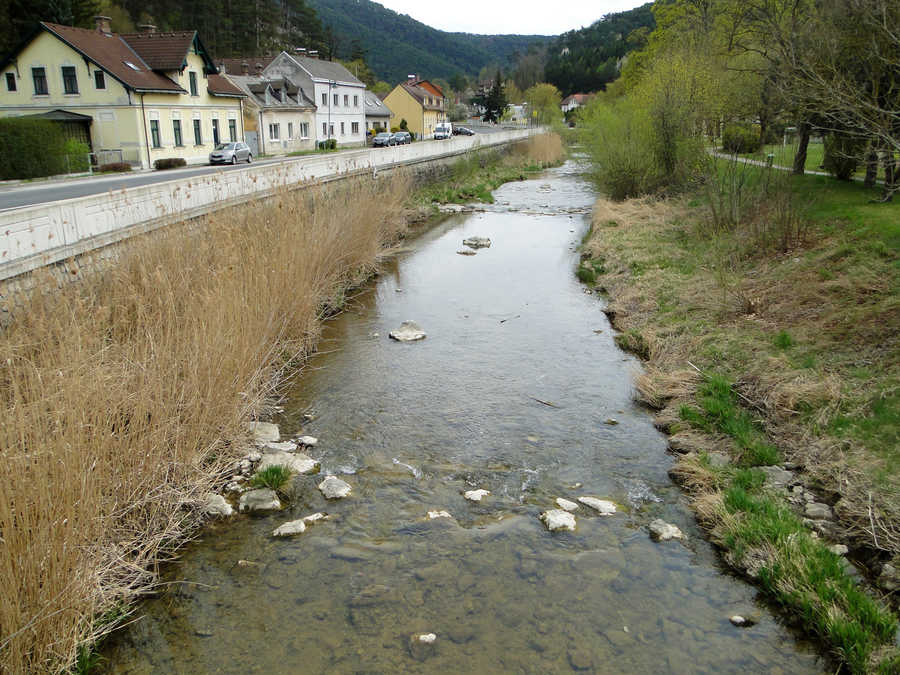 Triesting Oberlauf in Weissenbach an der Triesting