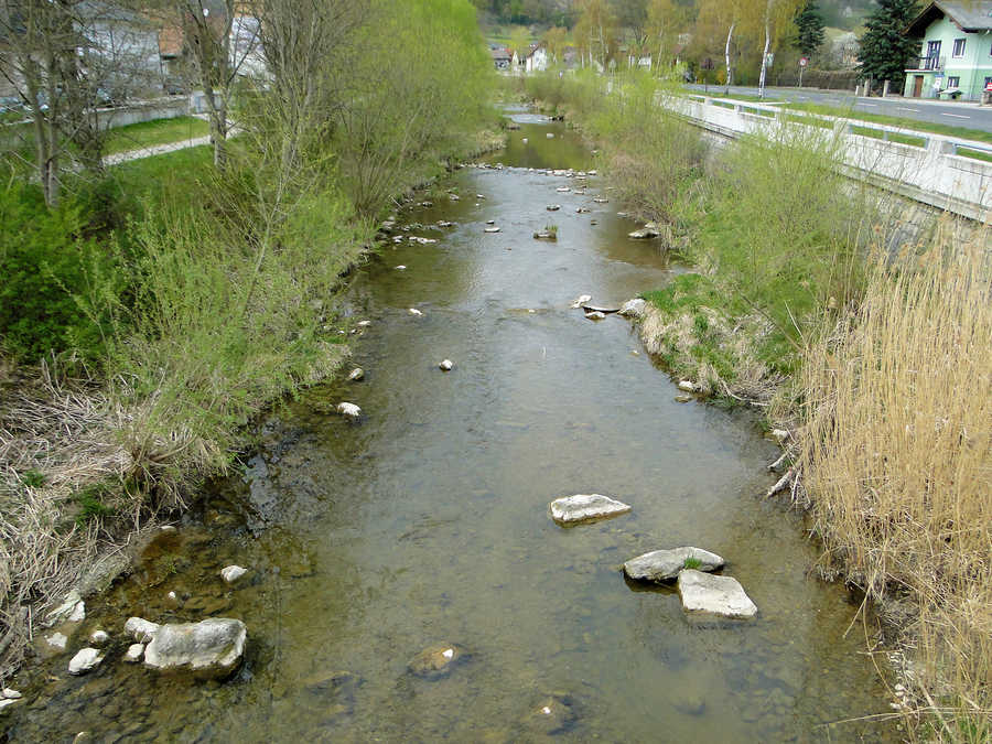 Fliegenfischen an der Triesting in Weissenbach an der Triesting