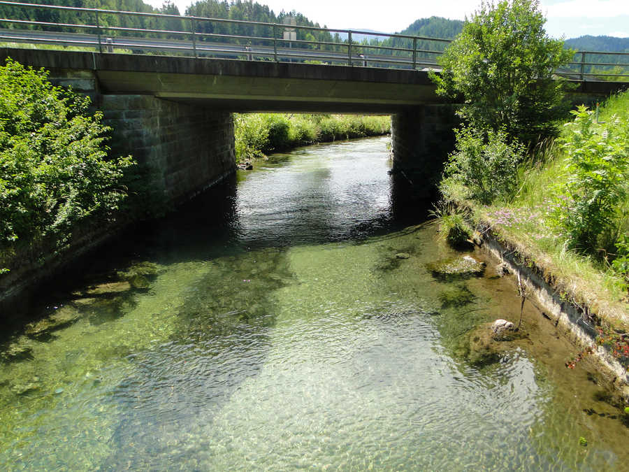 Fliegenfischen an der Unrechttraisen