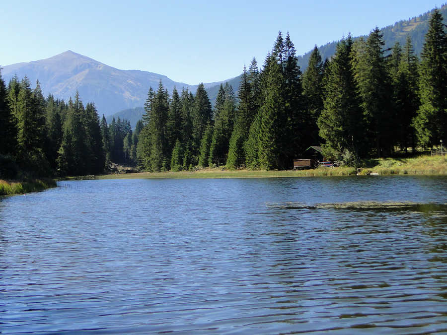 Der Weberteich in Hohentauern