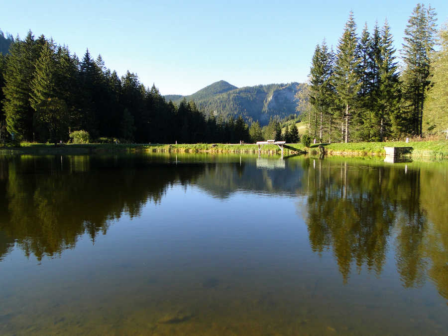 Blick über den Weberteich