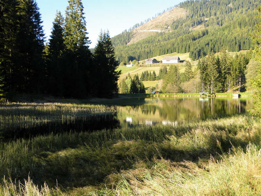 Weberteich - Blick vom Südufer aus