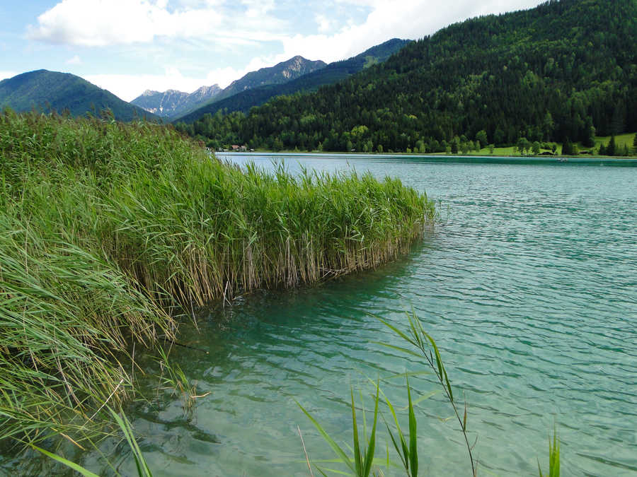  Weissensee bei Neusach