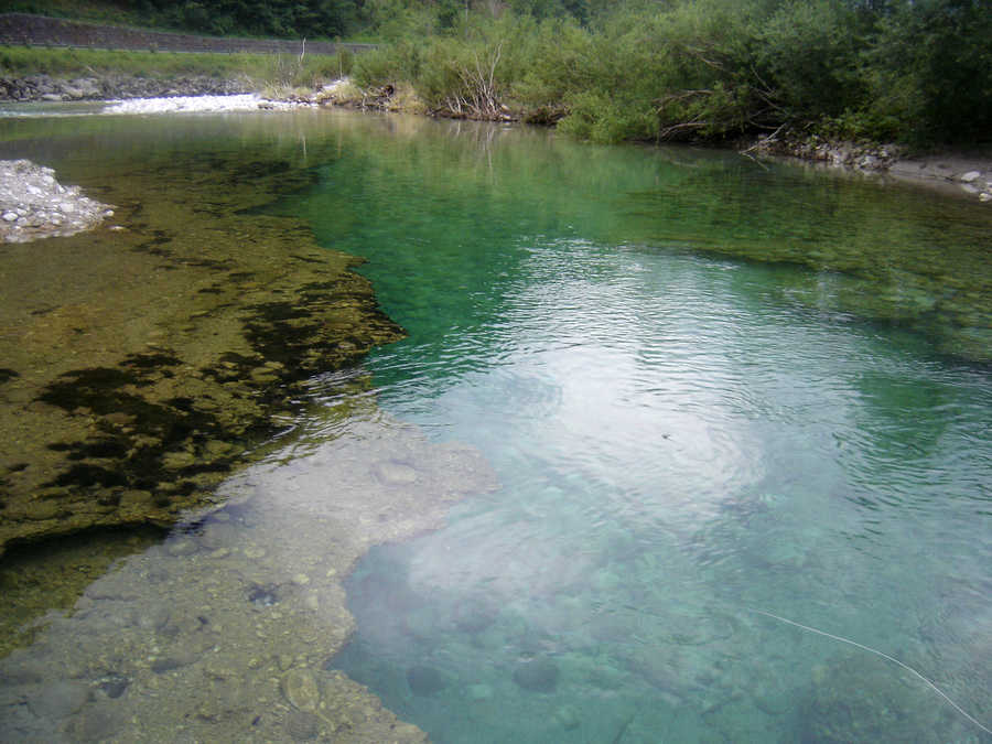 Fliegenfischen an der Ybbs