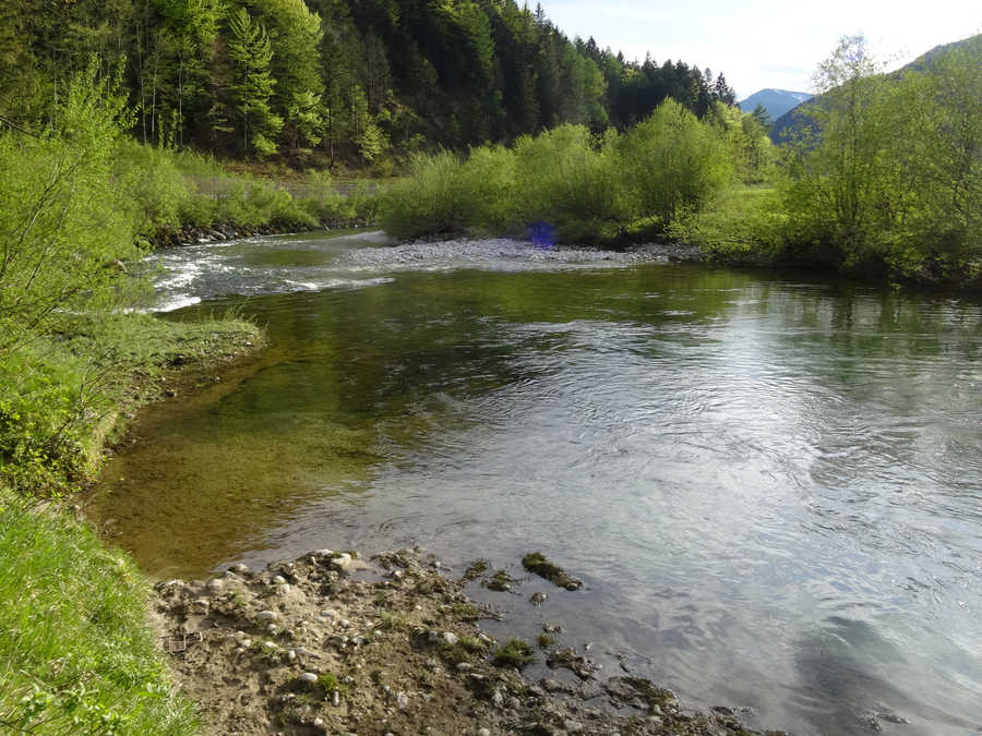 Ybbs unterhalb von St. Georgen am Reith