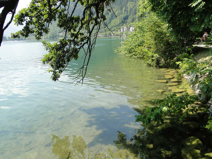 Zell am See - Ufer