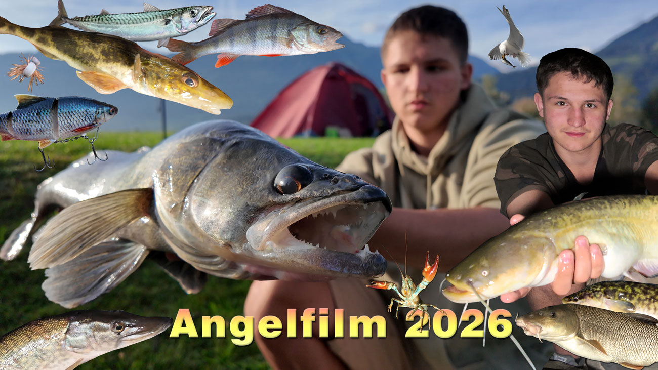 Karpfenangeln, Raubfischangeln, Forellenangeln, Fliegenfischen & Co