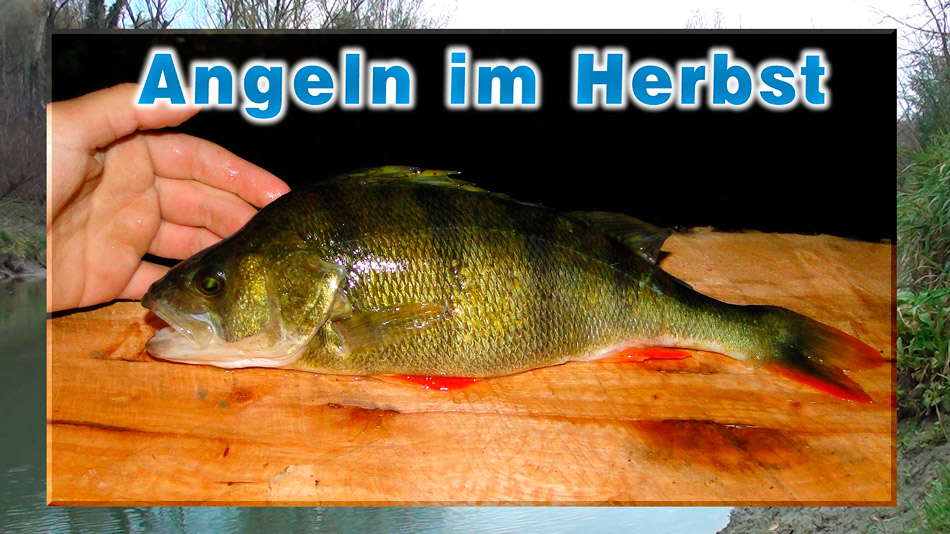 Angeln am Fluss im späten Herbst an der Donau