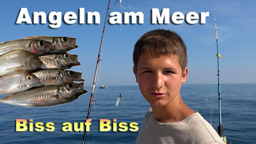 Angeln am Meer - Biss auf Biss