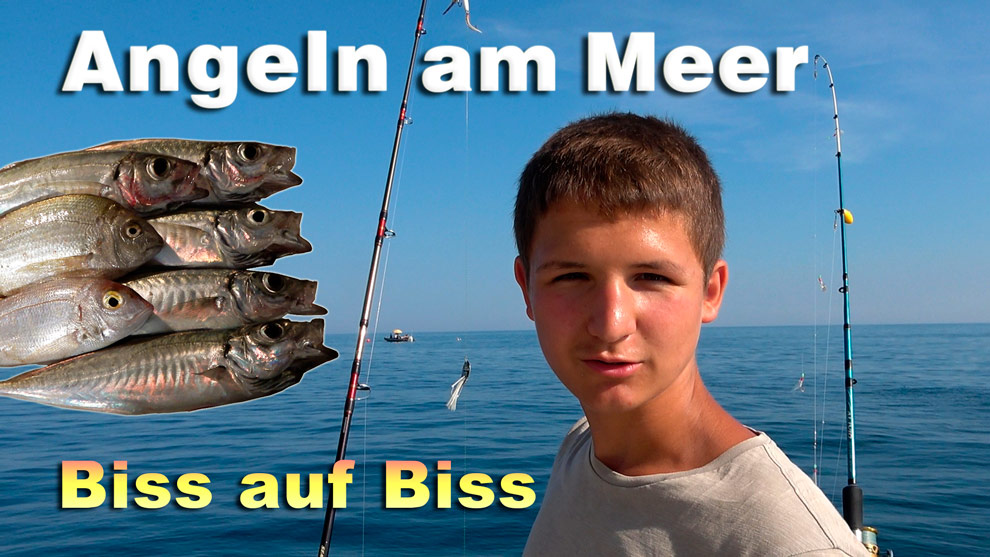 Angeln am Meer - Biss auf Biss