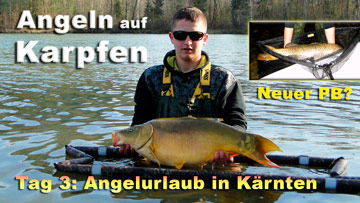 Angeln auf Karpfen