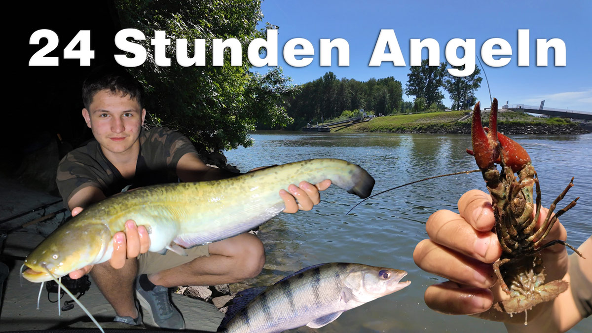 24 Stunden Angeln an der Donau