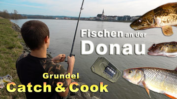 Fischen an der Donau + Grundeln Catch und Cook