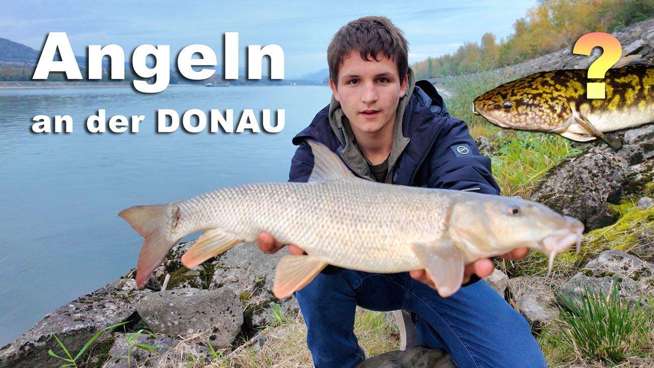 Fischen an der Donau in Melk