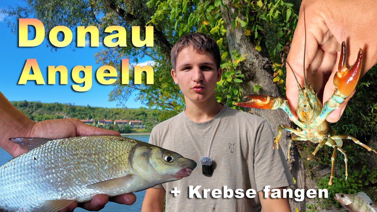 Fischen an der Donau
