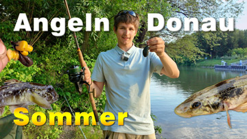 Angeln an der Donau im Sommer