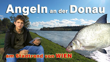 Angeln an der Donau