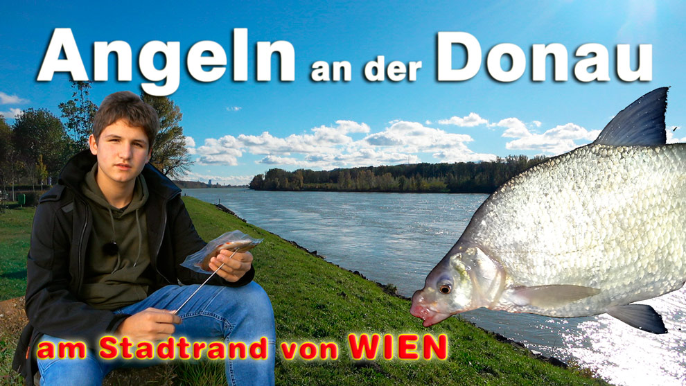 Angeln an der Donau - Fischen auf Zander und Feedern am Stadtrand von Wien in Korneuburg