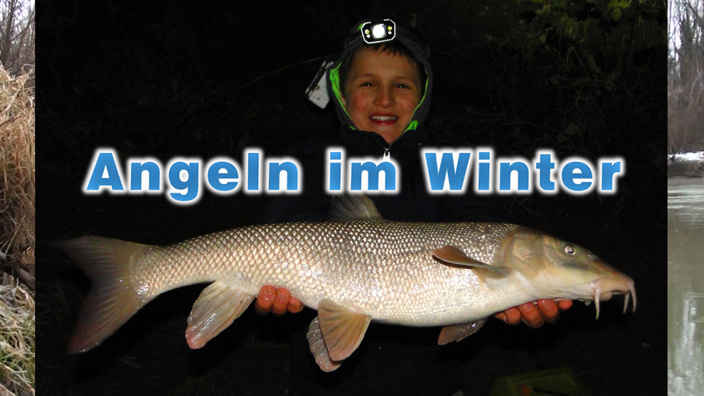 Angeln im Winter an der Donau