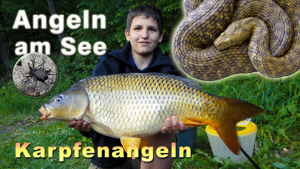 Angeln am See mit Überraschungen