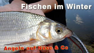 Fischen im Winter