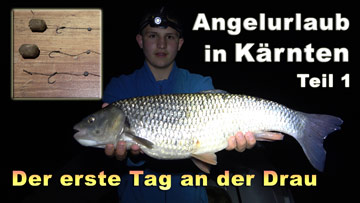 Angeln in Kärnten - Der erste Tag an der Drau fischen