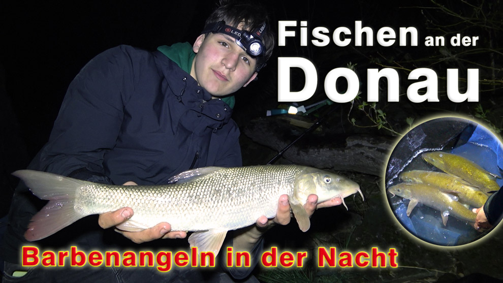 Angeln auf Barben im Frühjahr an der Donau beim Nachtangeln