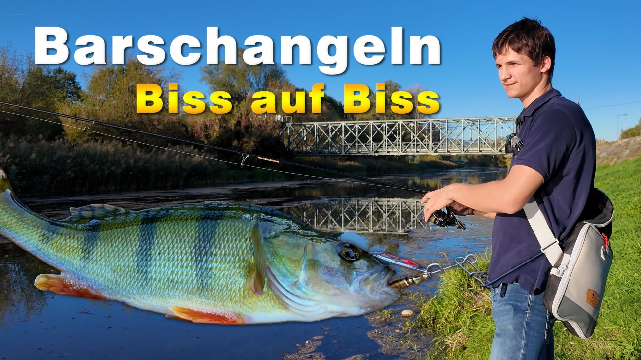 Angeln auf Barsch