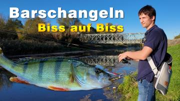 Barschangeln