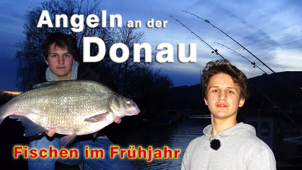 Angeln auf Friedfische im Frühjahr an der Donau