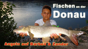 Fischen an der Donau - Angeln auf Zander und Barben