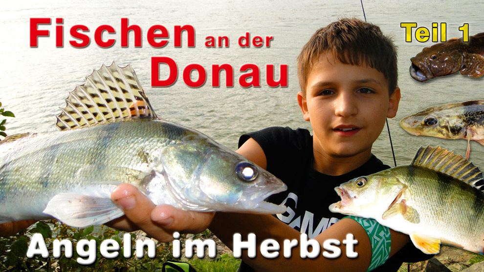 Fischen an der Donau
