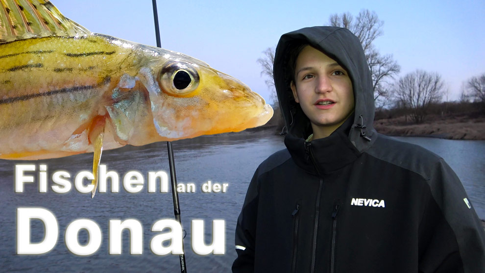 Fischen an der Donau im Winter