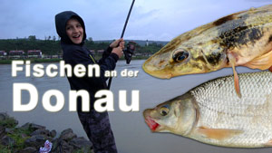 Fischen an der Donau