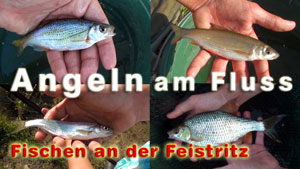 Fischen an der Feistritz