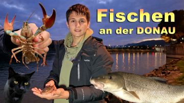 Fischen an der Donau