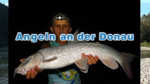 Fischen an der Donau