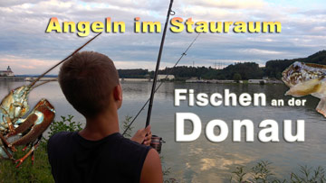 Fischen an der Donau im Stauraum